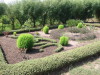Thumbnail IMG_6570.JPG 