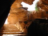 Thumbnail IMG_6592.JPG 