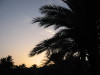 Thumbnail IMG_6601.JPG 