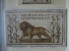 Thumbnail IMG_6623.JPG 