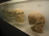 Thumbnail IMG_6641.JPG 