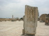 Thumbnail IMG_6665.JPG 