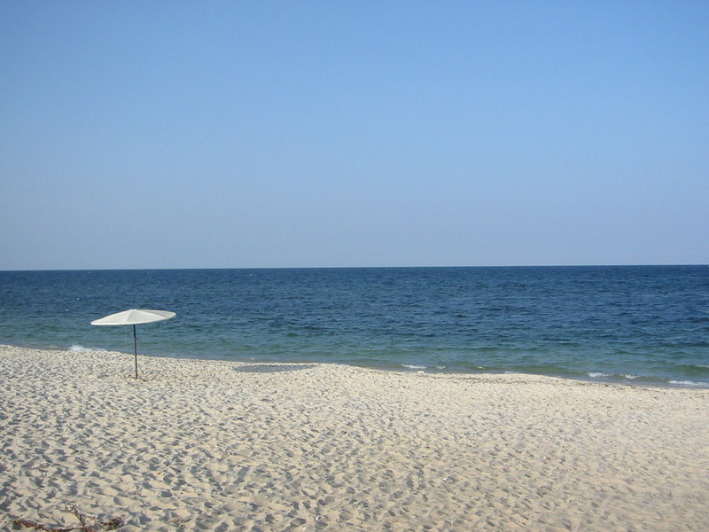 IMG_6406.JPG 