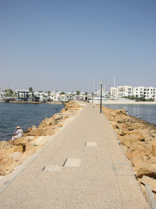 IMG_6454.JPG 