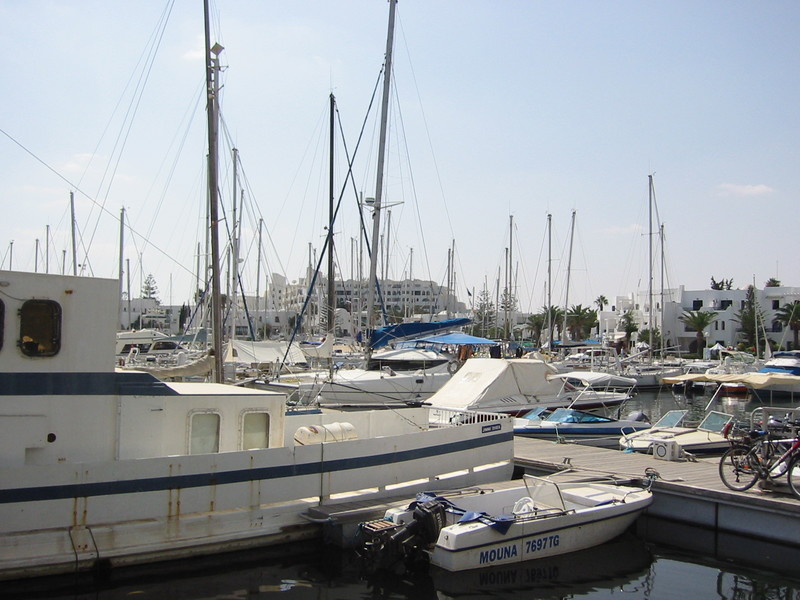 IMG_6456.JPG 