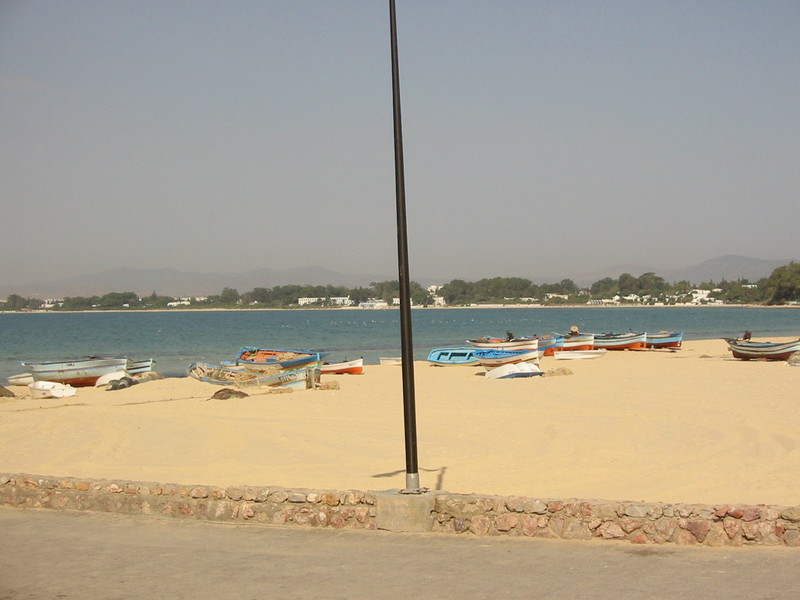 IMG_6505.JPG 