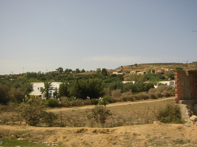 IMG_6532.JPG 