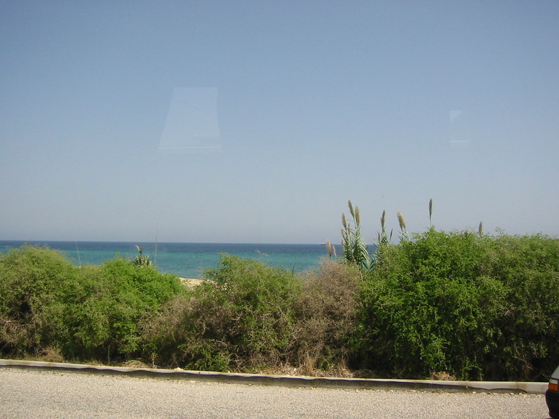 IMG_6533.JPG 