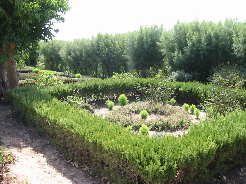 IMG_6534.JPG 