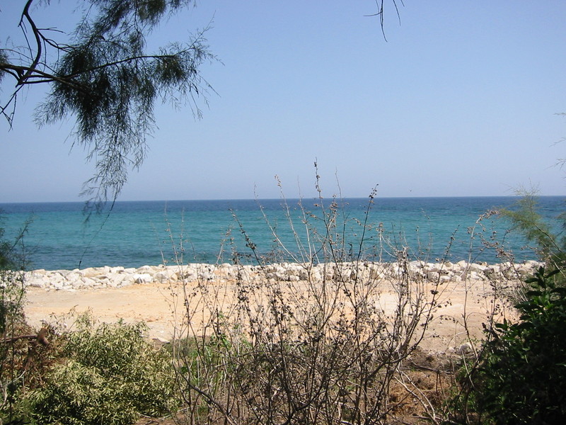 IMG_6537.JPG 