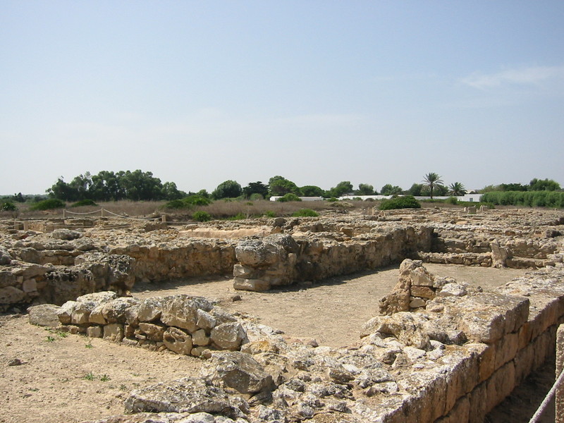 IMG_6540.JPG 