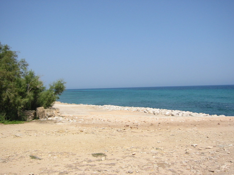 IMG_6541.JPG 
