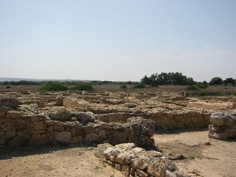 IMG_6542.JPG 