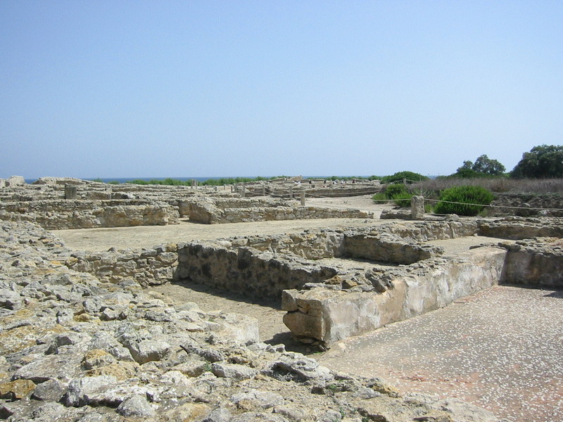 IMG_6546.JPG 