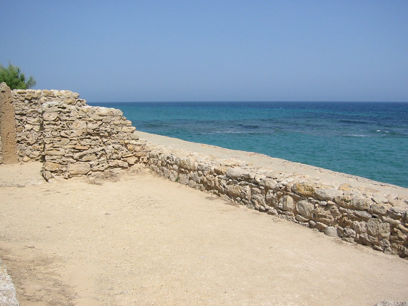 IMG_6563.JPG 