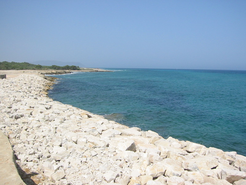 IMG_6568.JPG 