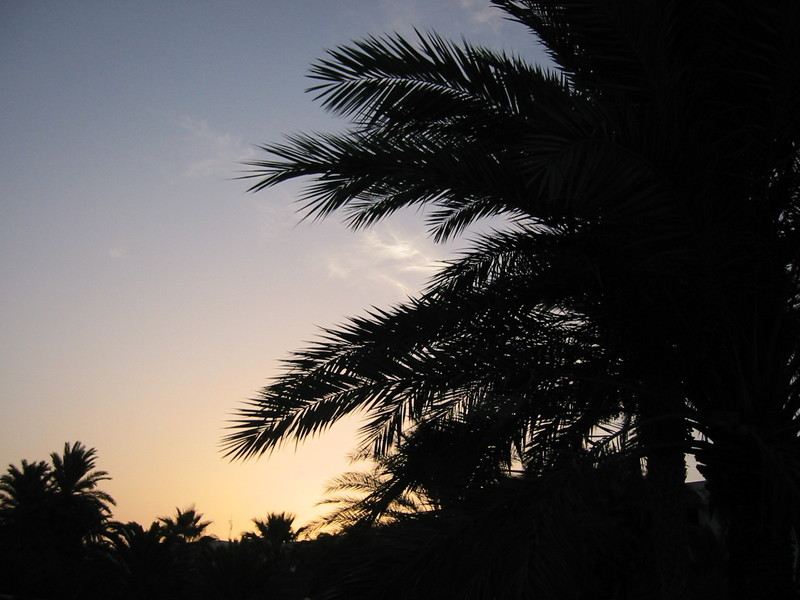 IMG_6601.JPG 