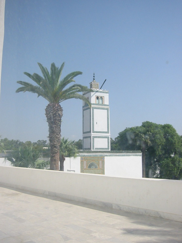 IMG_6634.JPG 