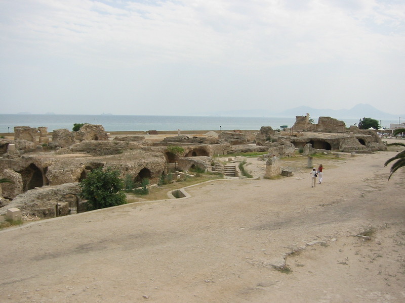 IMG_6650.JPG 