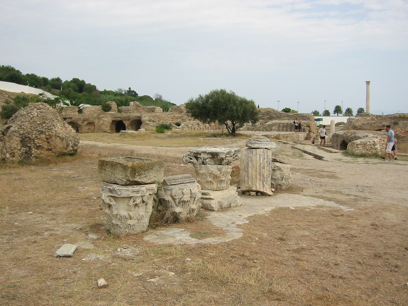 IMG_6651.JPG 