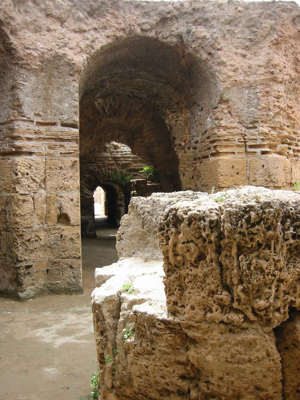 IMG_6655.JPG 