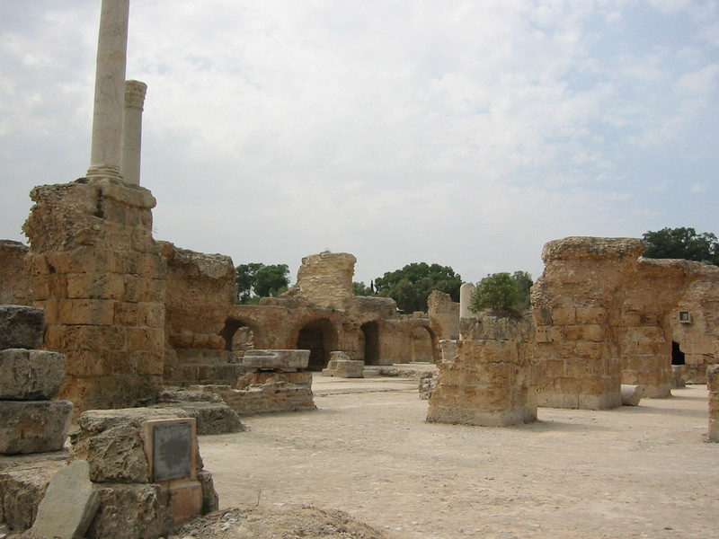 IMG_6660.JPG 