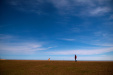Thumbnail img_4478.jpg 