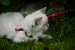 _mg_5999.jpg
