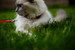 _mg_6052.jpg