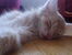 20170605_192523.jpg