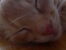 20170605_195633.jpg