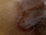 20170605_195648.jpg