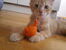 20170716_184459.jpg