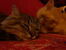 20170914_184902.jpg