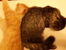 20170914_194024.jpg