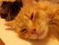 20170914_194212.jpg