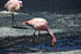 img_5189.jpg