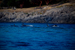 _mg_9265.jpg