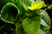 _mg_9585.jpg