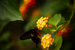 _mg_9670.jpg