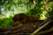 _mg_9687.jpg