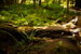 _mg_9929.jpg