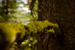 _mg_1754.jpg