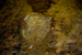 _mg_2066.jpg