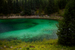 _mg_2132.jpg