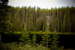 _mg_2584.jpg