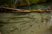 _mg_2654.jpg