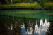 _mg_2675.jpg