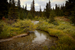 _mg_2845.jpg