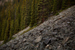 _mg_2948.jpg